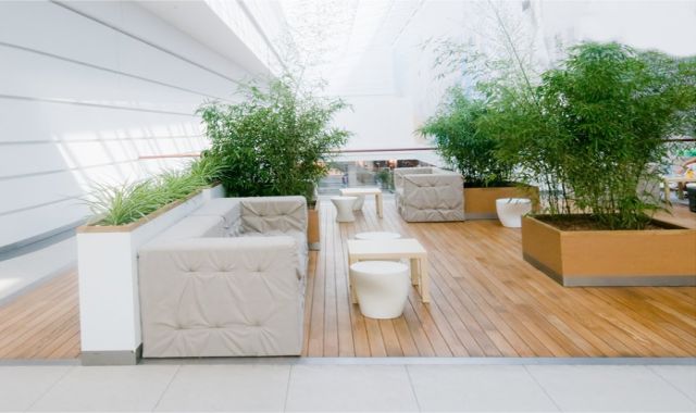 Unlimited color & background